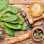 Plantain-valuable medicinal plants